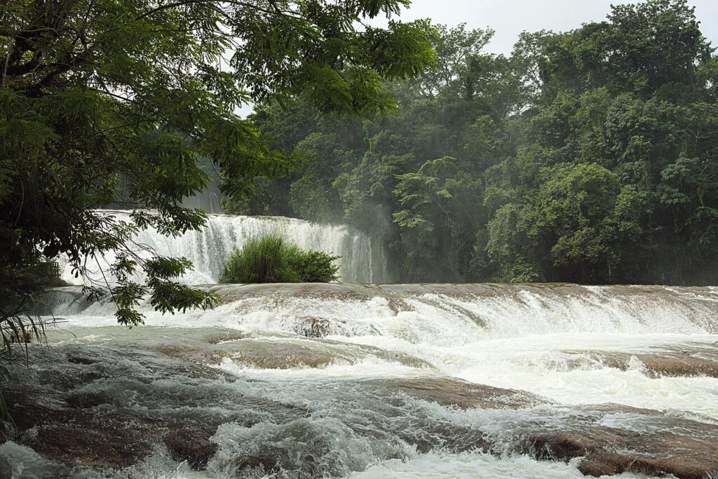 Cascadas turquesa de Agua Azul en la selva de Chiapas