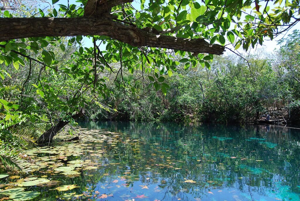 Cenote Car Wash, Tulum