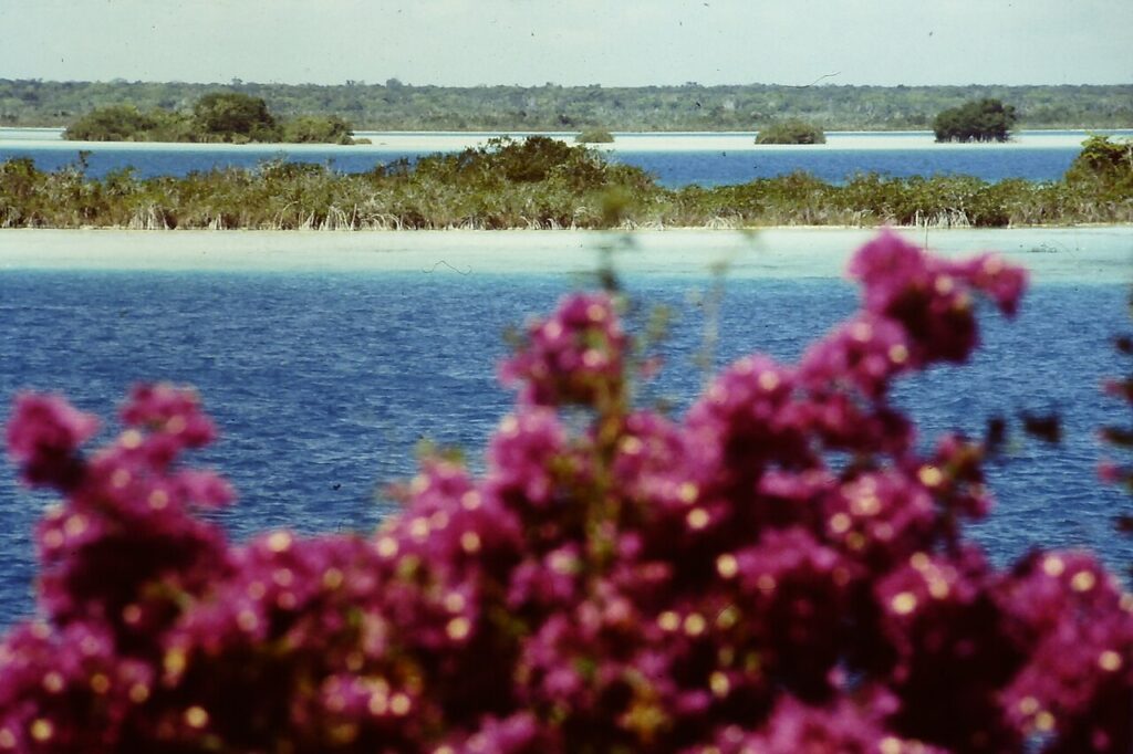 Laguna de los siete colores, Bacalar