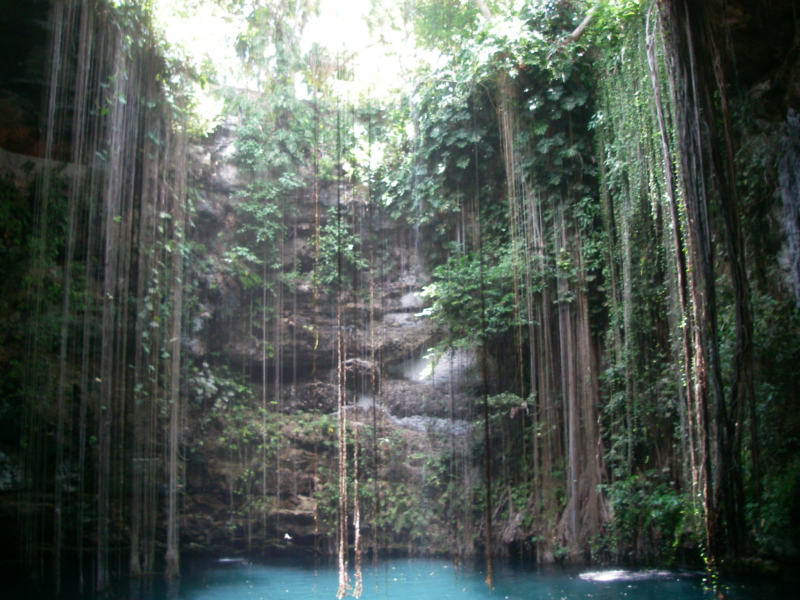 Los 10 cenotes de Yucatán imperdibles (guía 2026) — México