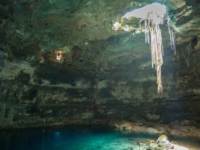 Mejores cenotes de Tulum 2026: precios de entrada y cómo llegar