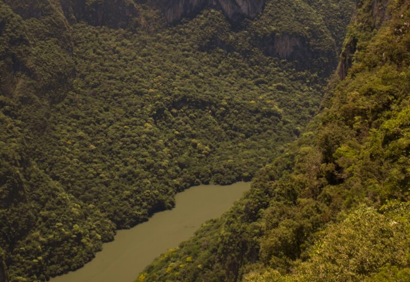 Selva y cascadas en Chiapas