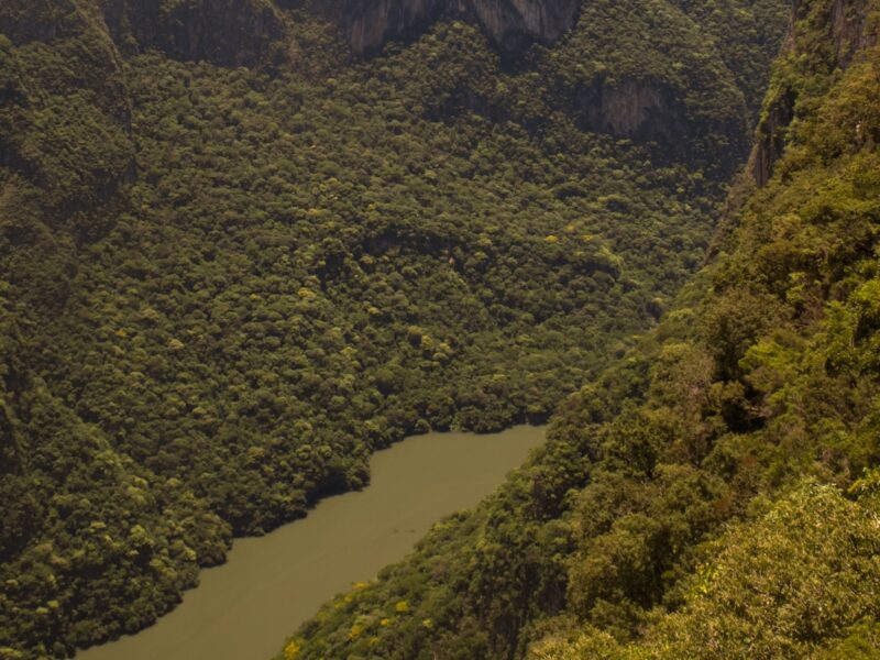 Selva y cascadas en Chiapas — Chiapas, México