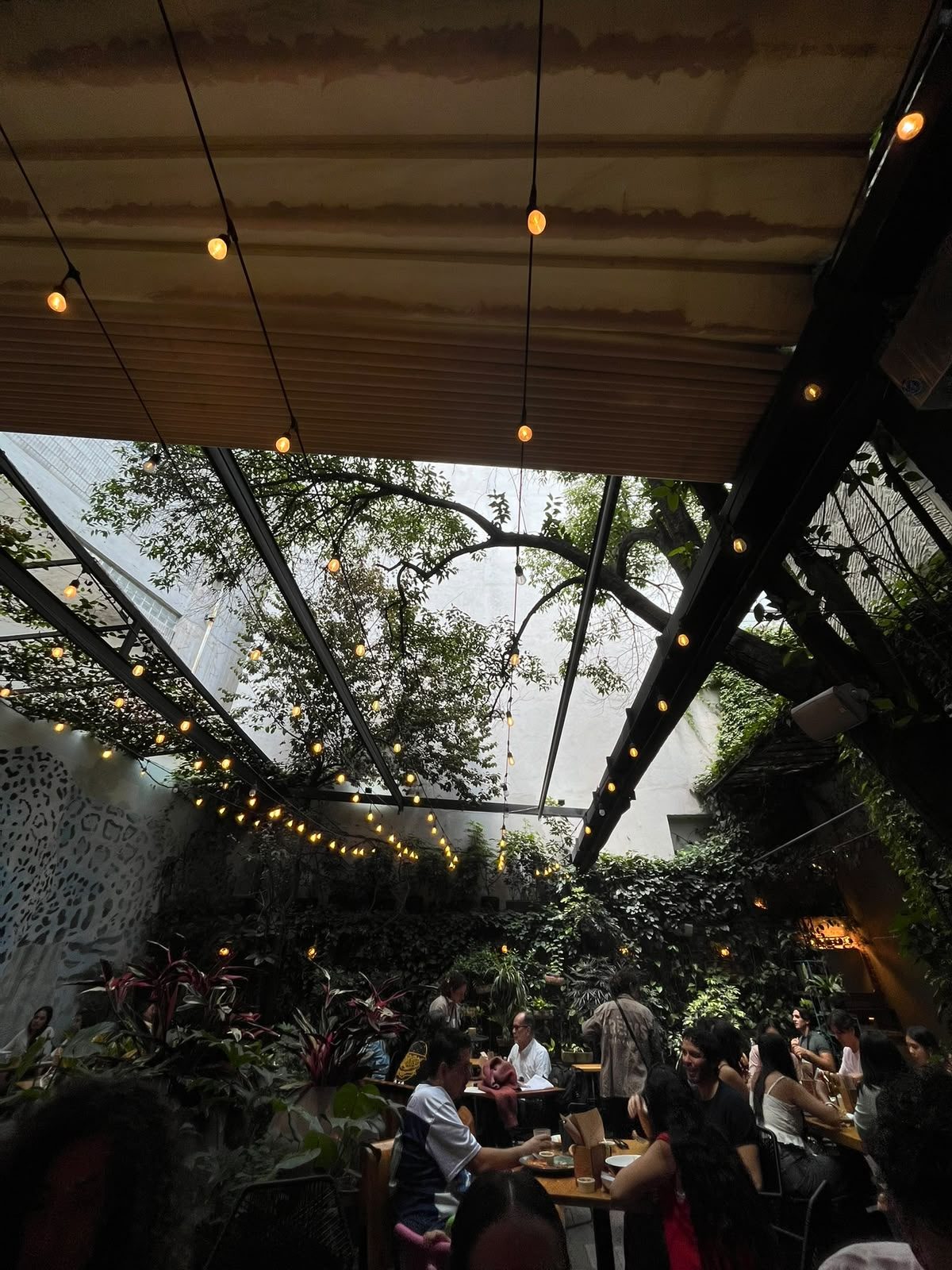 Interior de Frëims con techo de cristal, luces cálidas y jardín vertical en Ámsterdam 62, Condesa