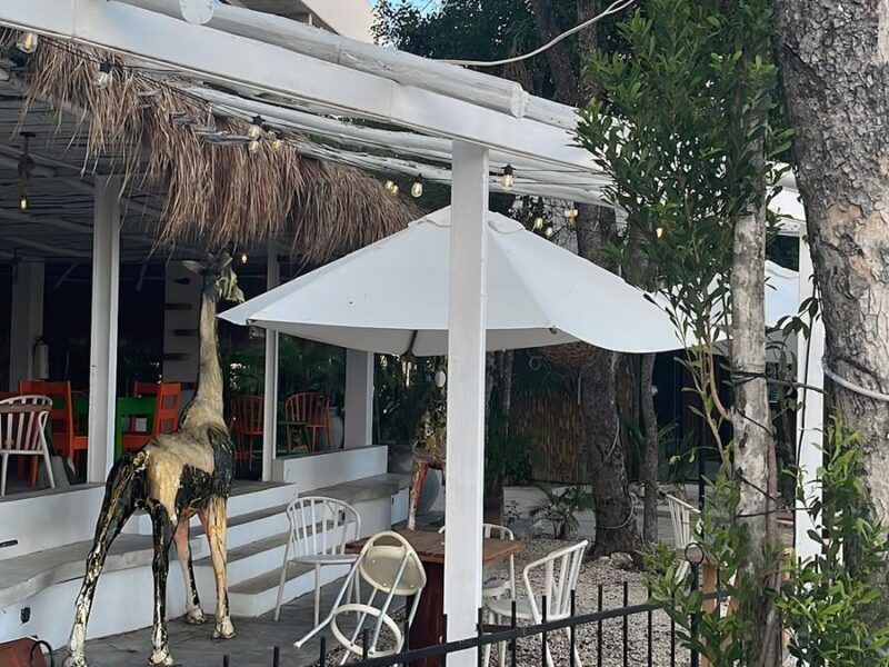 ¿Tulum es caro o barato? Precios reales 2026 (lo que pagué)