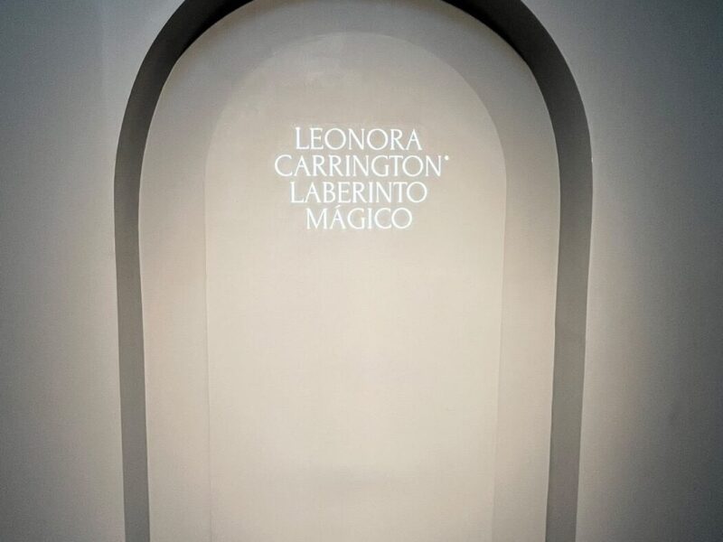Leonora Carrington: Laberinto Mágico, mi visita a la expo inmersiva