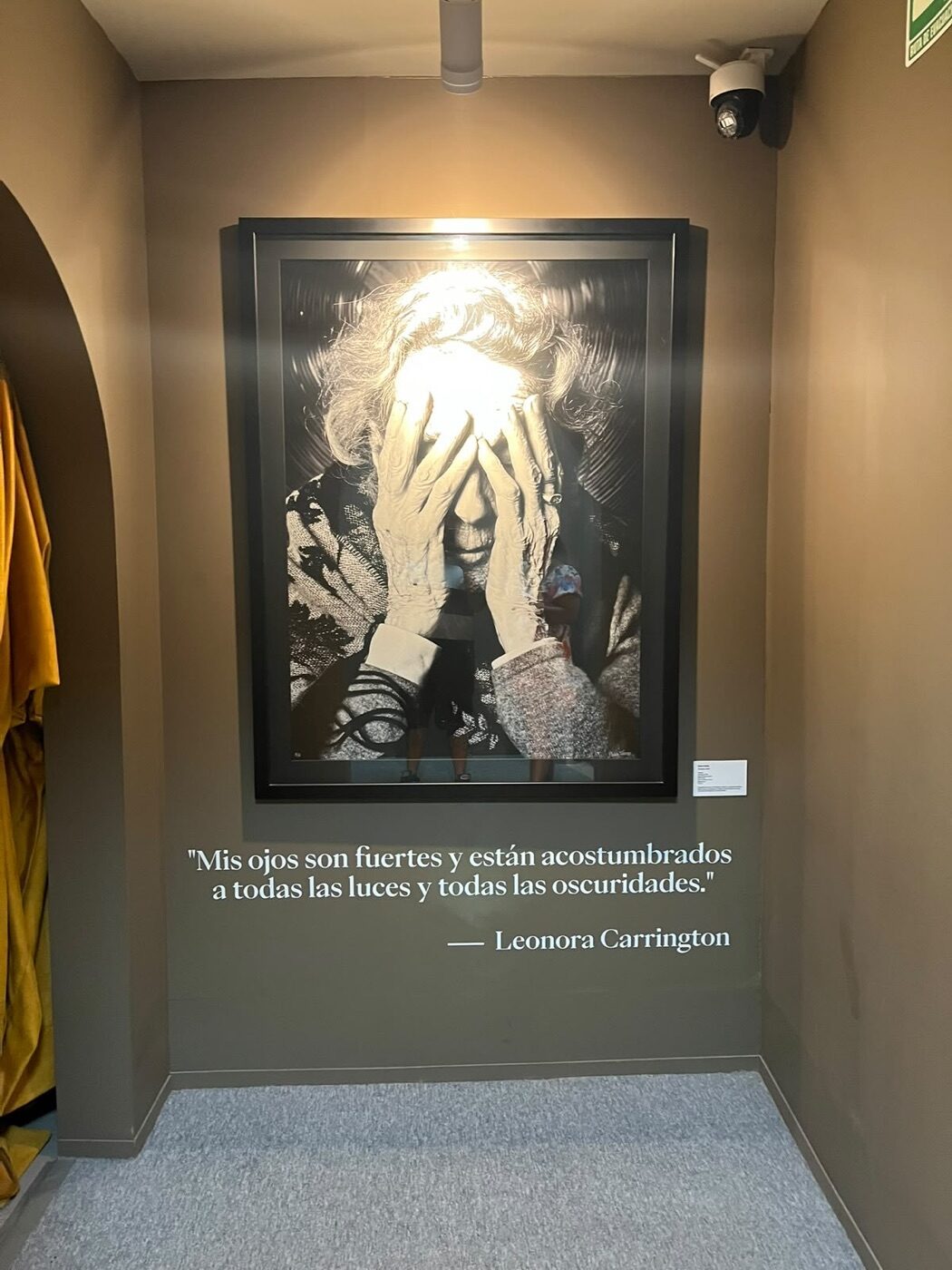 Fotografía de Leonora Carrington mayor cubriéndose el rostro con las manos y su cita «Mis ojos son fuertes y están acostumbrados a todas las luces y todas las oscuridades»