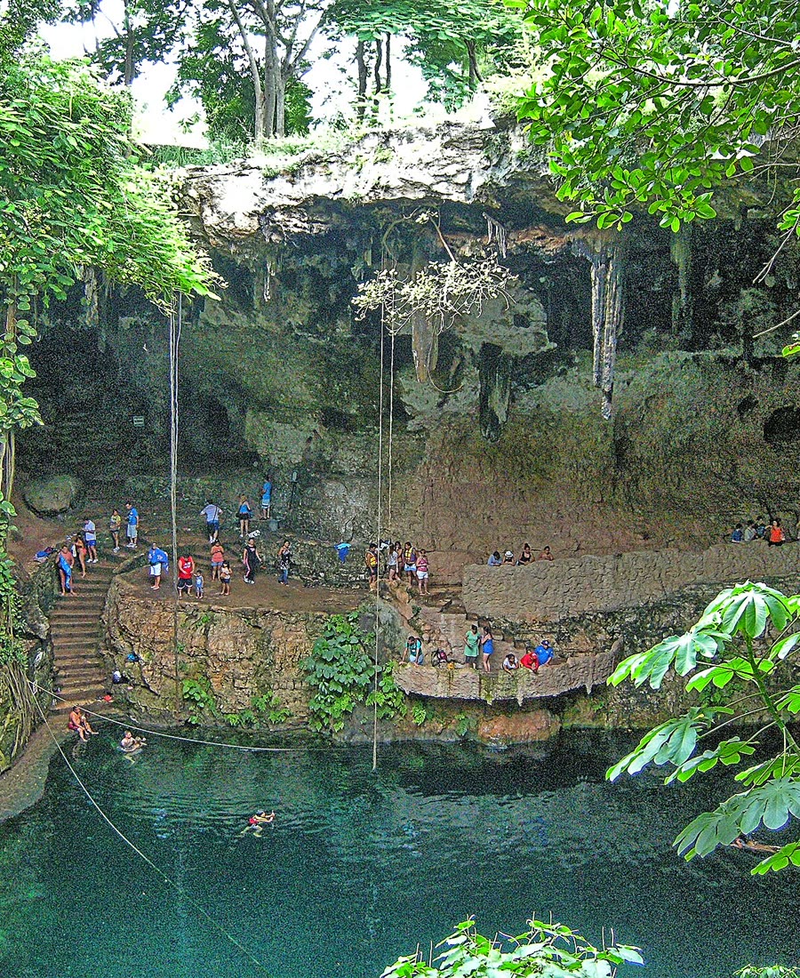 Cenotes y naturaleza